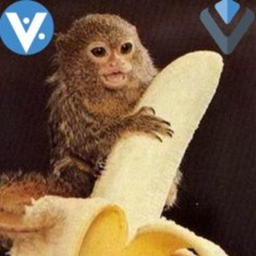 KidKrypt0 - Creative Director