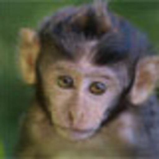 Testbug - VeriCoin Developer